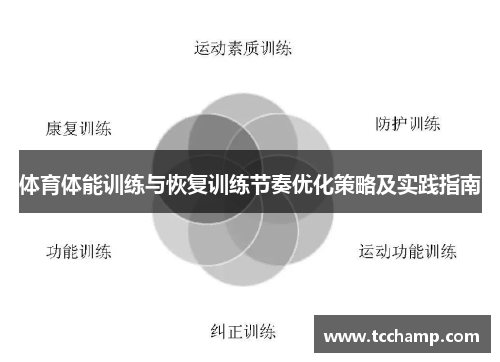 体育体能训练与恢复训练节奏优化策略及实践指南