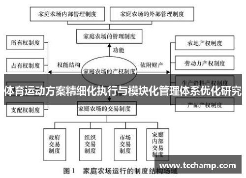 体育运动方案精细化执行与模块化管理体系优化研究